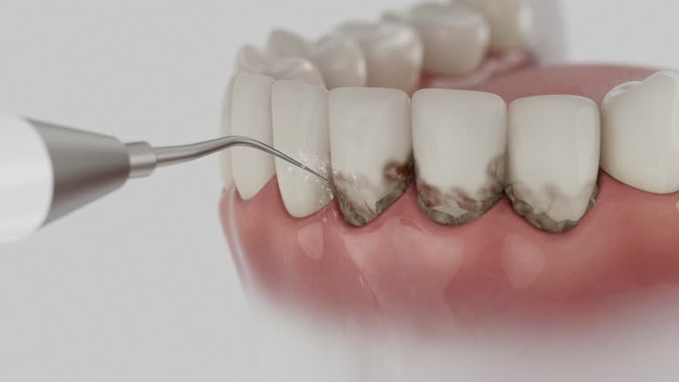 Reliable Dental contractor in South San Francisco, CA by Dentist Open Now